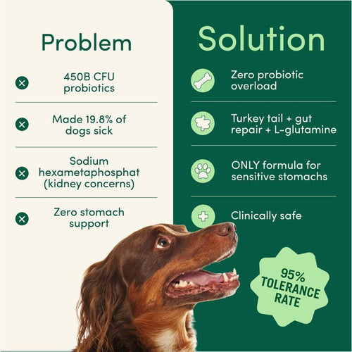 Vivaage Breath Buddy Pet Dental Powder