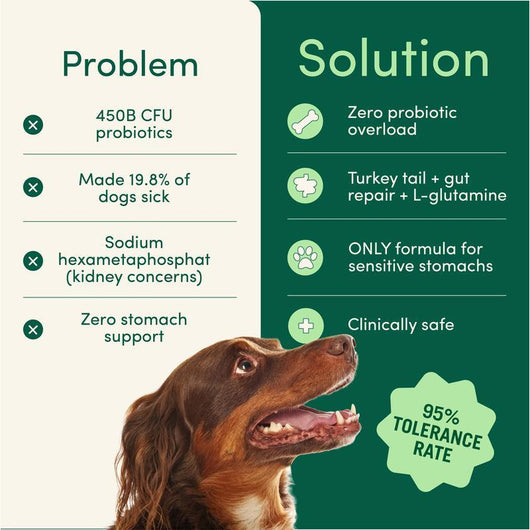 Vivaage Breath Buddy Pet Dental Powder