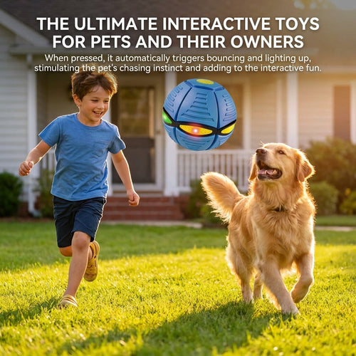 Magic UFO Transforming Ball — Throws Like a Disc, Catches Like a Ball, Lights Up in the Dark