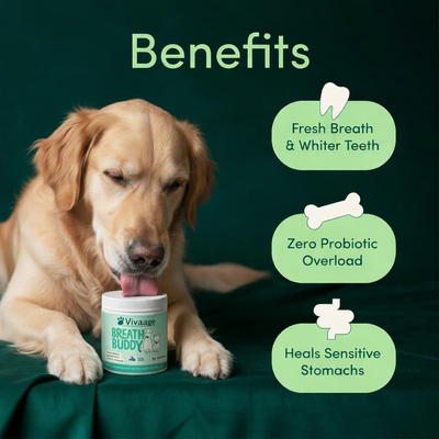 Vivaage Breath Buddy Pet Dental Powder