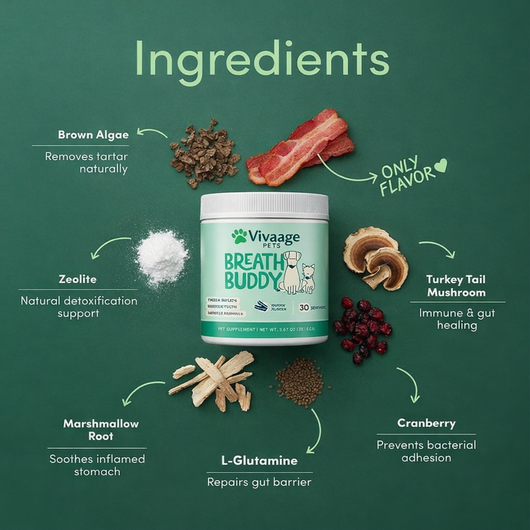 Vivaage Breath Buddy Pet Dental Powder