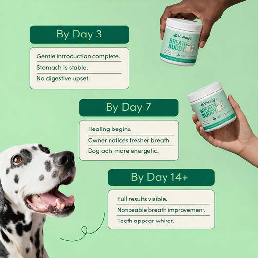 Vivaage Breath Buddy Pet Dental Powder