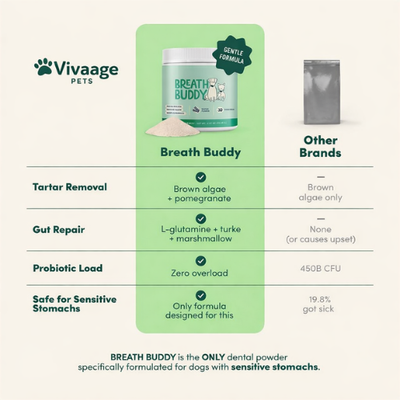 Vivaage Breath Buddy Pet Dental Powder