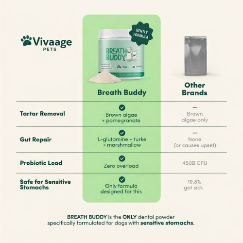 Vivaage Breath Buddy Pet Dental Powder